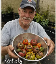 David from Kentucky displaying ripe heirloom garden tomatoes